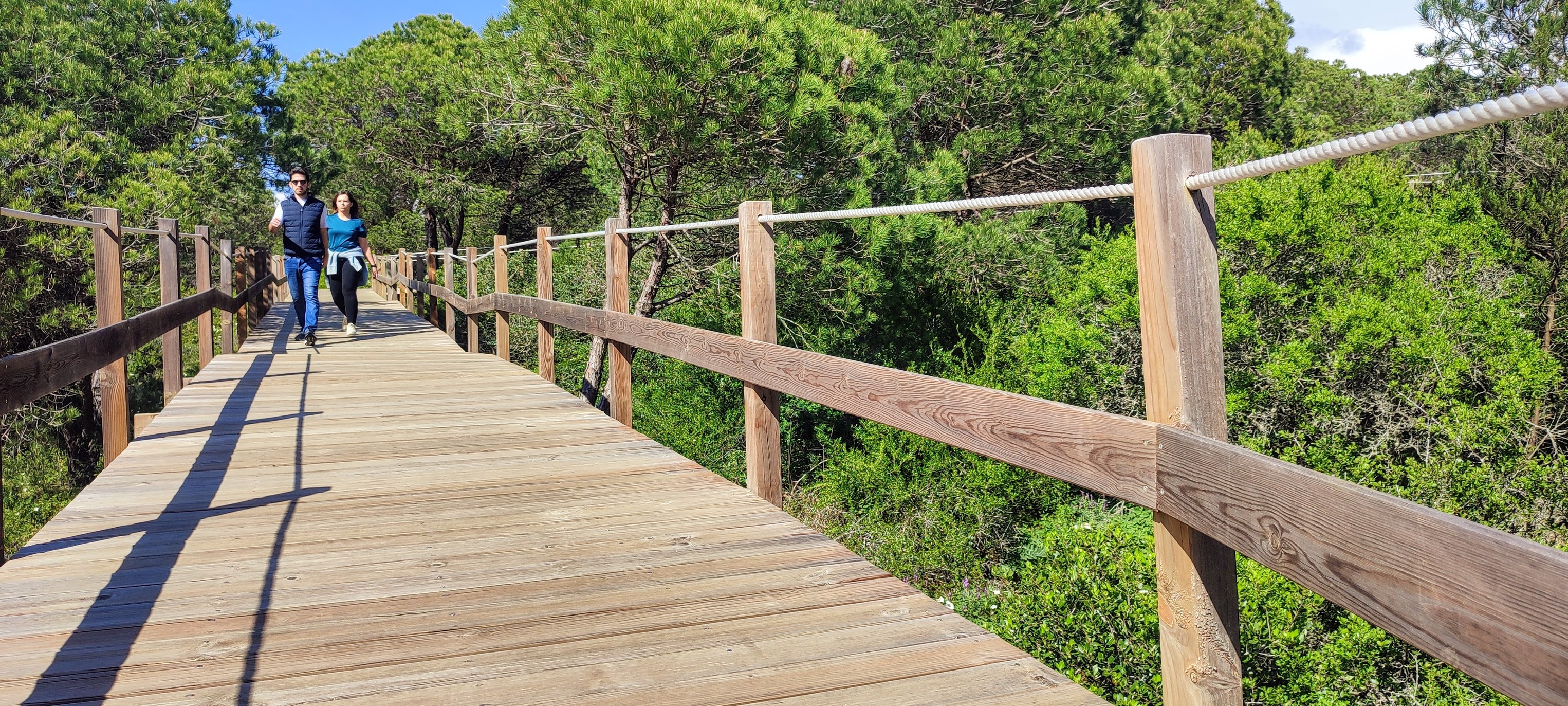 514415252_1329609519167303_6386937964414451296_n